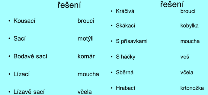 Hmyz stavba těla.ppt